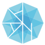Afghanistan Analysts Network (AAN) logo