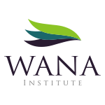 WANA Institute logo