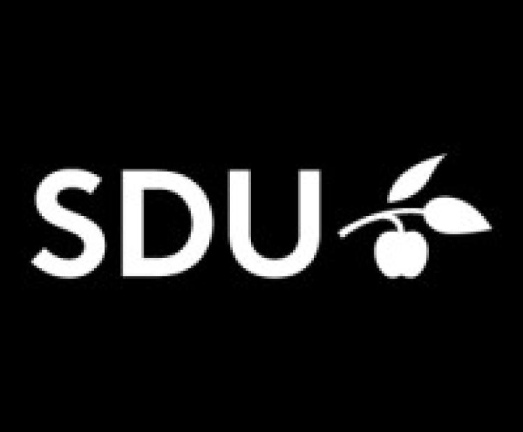 University of Southern Denmark